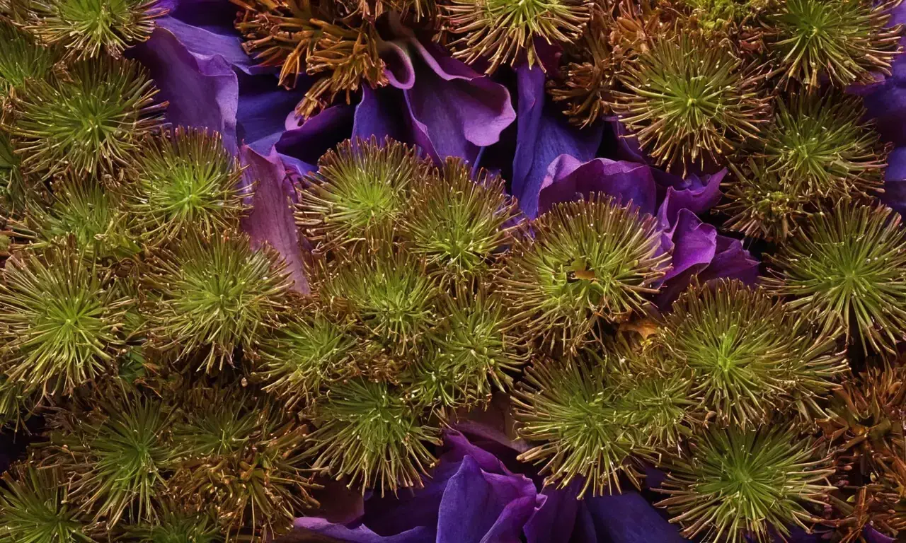 Investigating Rhodiums diverse applications holds promise for technological advancement