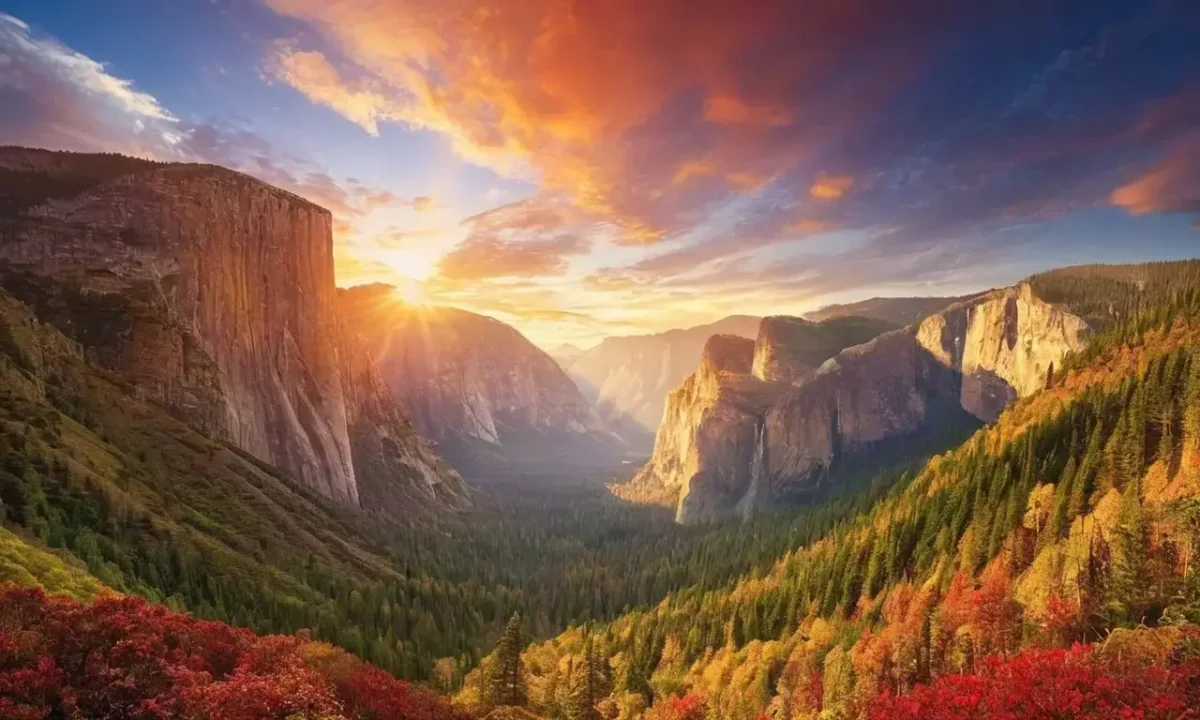 Natures sounds create a vibrant